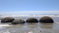 20241228_7 Moeraki Bolders.jpg &ndash; &copy; Michael Rass (Eberhardt TRAVEL)