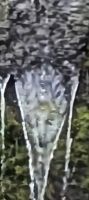 20241230_4 finde den Troll.jpg &ndash; &copy; Michael Rass (Eberhardt TRAVEL)