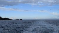 20241230_5 hianus auf die Tasmansee.jpg &ndash; &copy; Michael Rass (Eberhardt TRAVEL)
