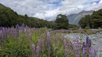 20241230_18 Luoinienfeld.jpg &ndash; &copy; Michael Rass (Eberhardt TRAVEL)