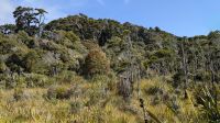 20250101_25 am ship Creek Walk).jpg &ndash; &copy; Michael Rass (Eberhardt TRAVEL)