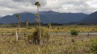 20250103_11 wir fahren zum Arturs Pass.jpg &ndash; &copy; Michael Rass (Eberhardt TRAVEL)