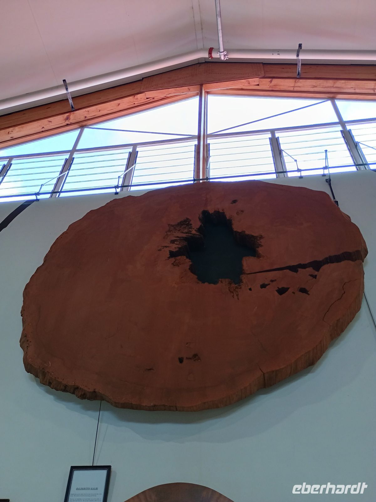 Kauri Museum &ndash; &copy; Johanna König (Eberhardt TRAVEL)