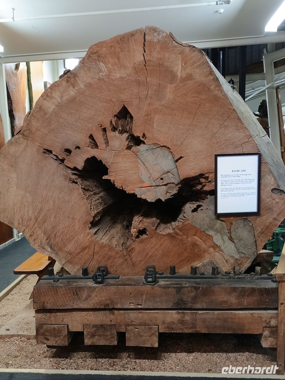 Kauri Museum &ndash; &copy; Johanna König (Eberhardt TRAVEL)