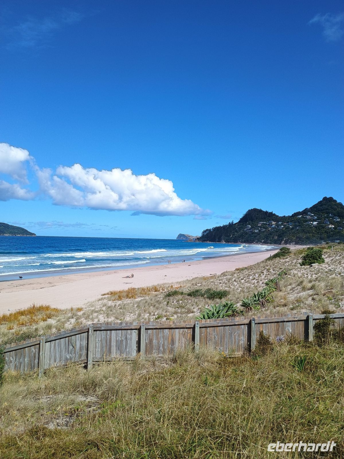 Coromandel Halbinsel &ndash; &copy; Johanna König (Eberhardt TRAVEL)