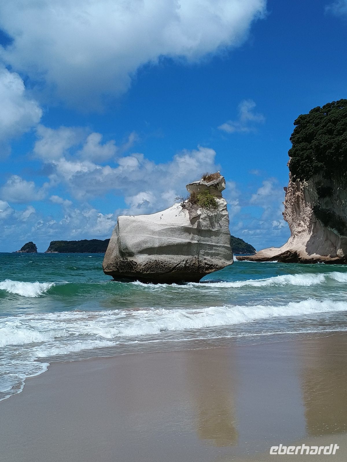 Coromandel Halbinsel &ndash; &copy; Johanna König (Eberhardt TRAVEL)