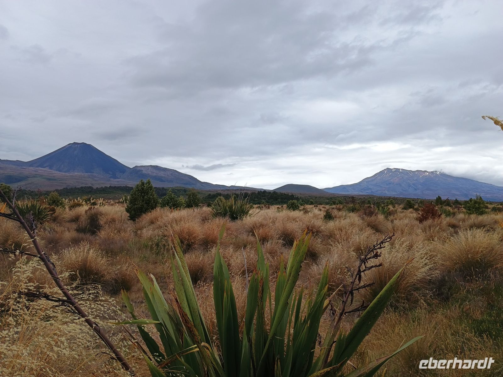 Tongariro Nationalpark &ndash; &copy; Johanna König (Eberhardt TRAVEL)