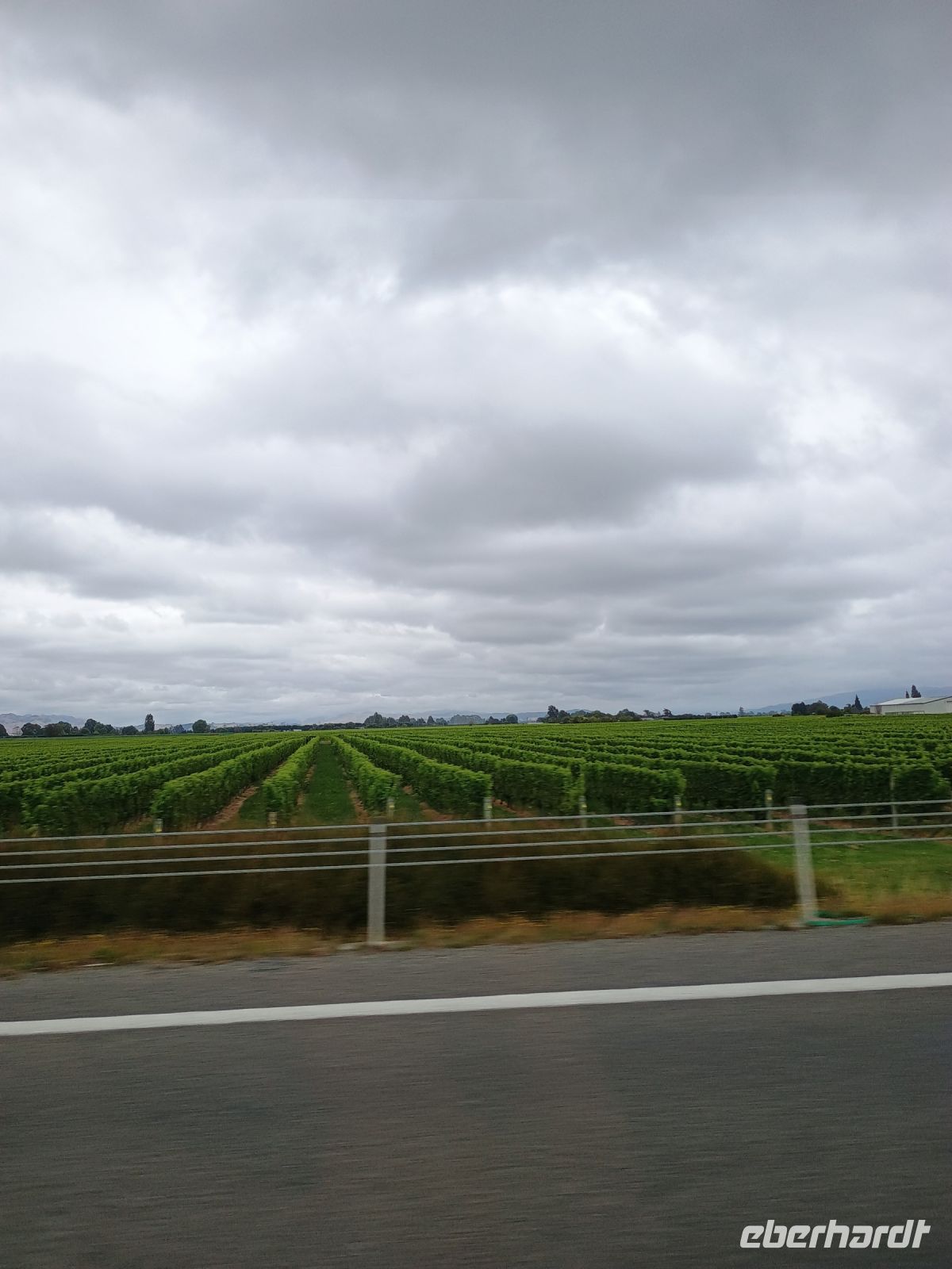 Blenheim &ndash; &copy; Johanna König (Eberhardt TRAVEL)