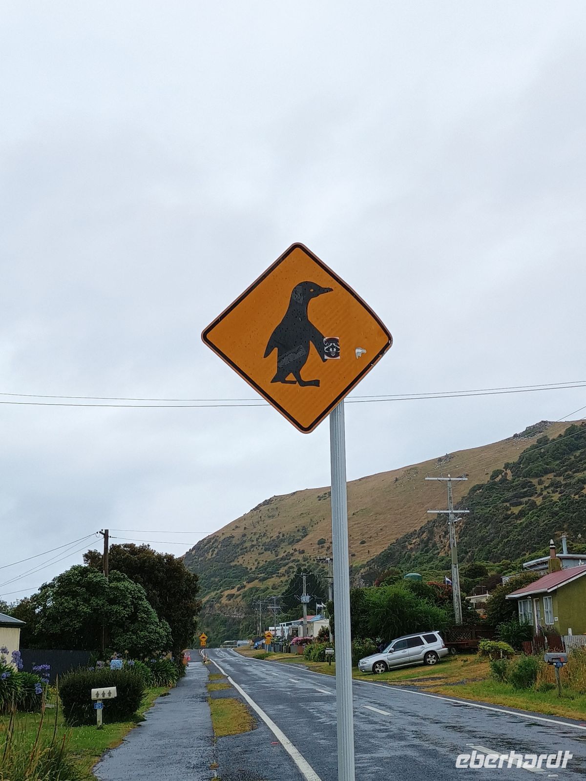 Otago Halbinsel &ndash; &copy; Johanna König (Eberhardt TRAVEL)
