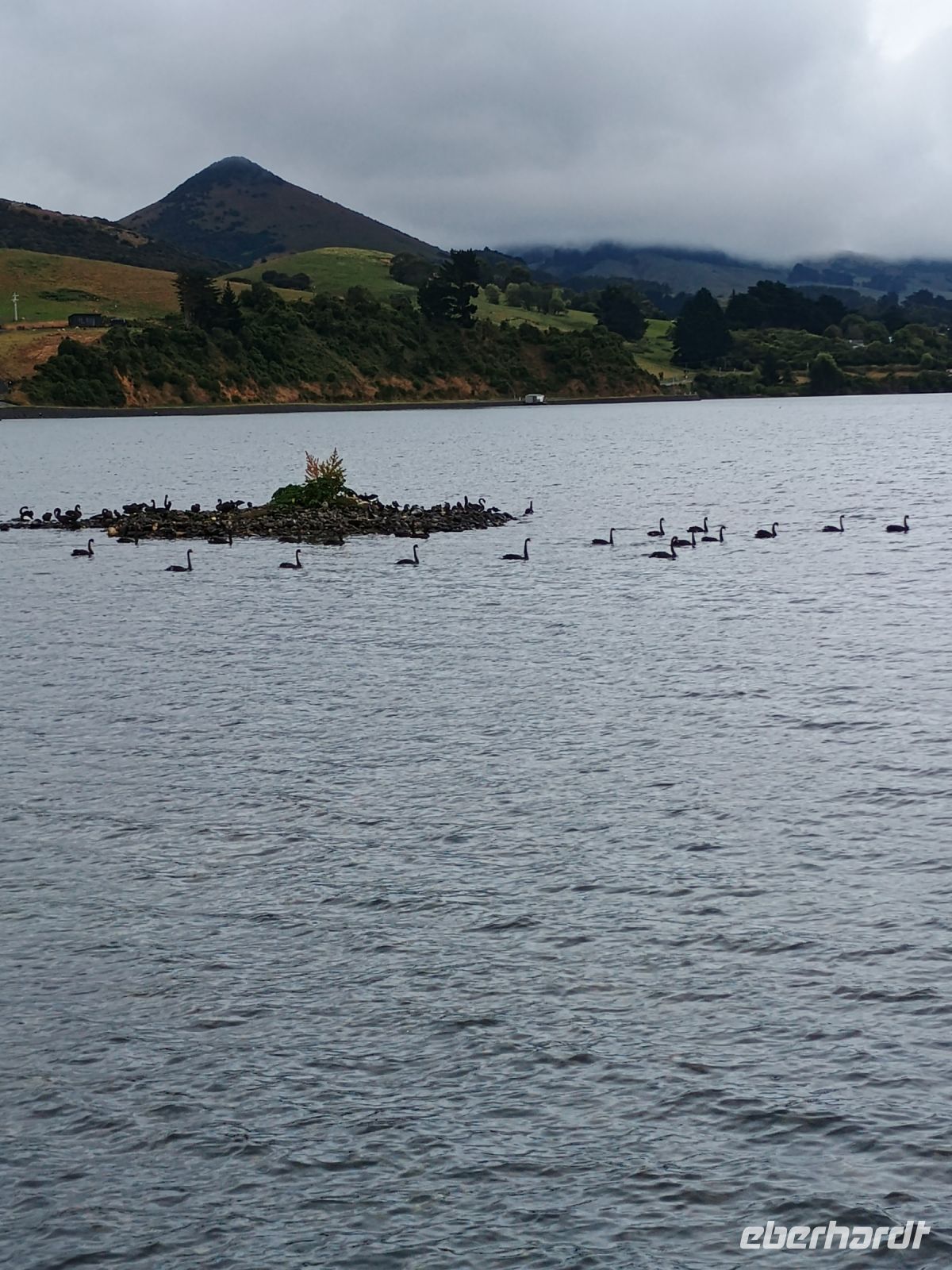 Otago Halbinsel &ndash; &copy; Johanna König (Eberhardt TRAVEL)