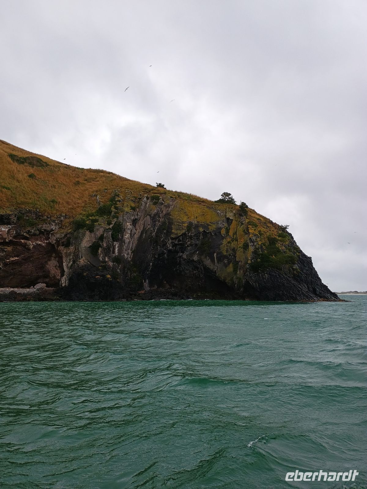 Otago Halbinsel &ndash; &copy; Johanna König (Eberhardt TRAVEL)