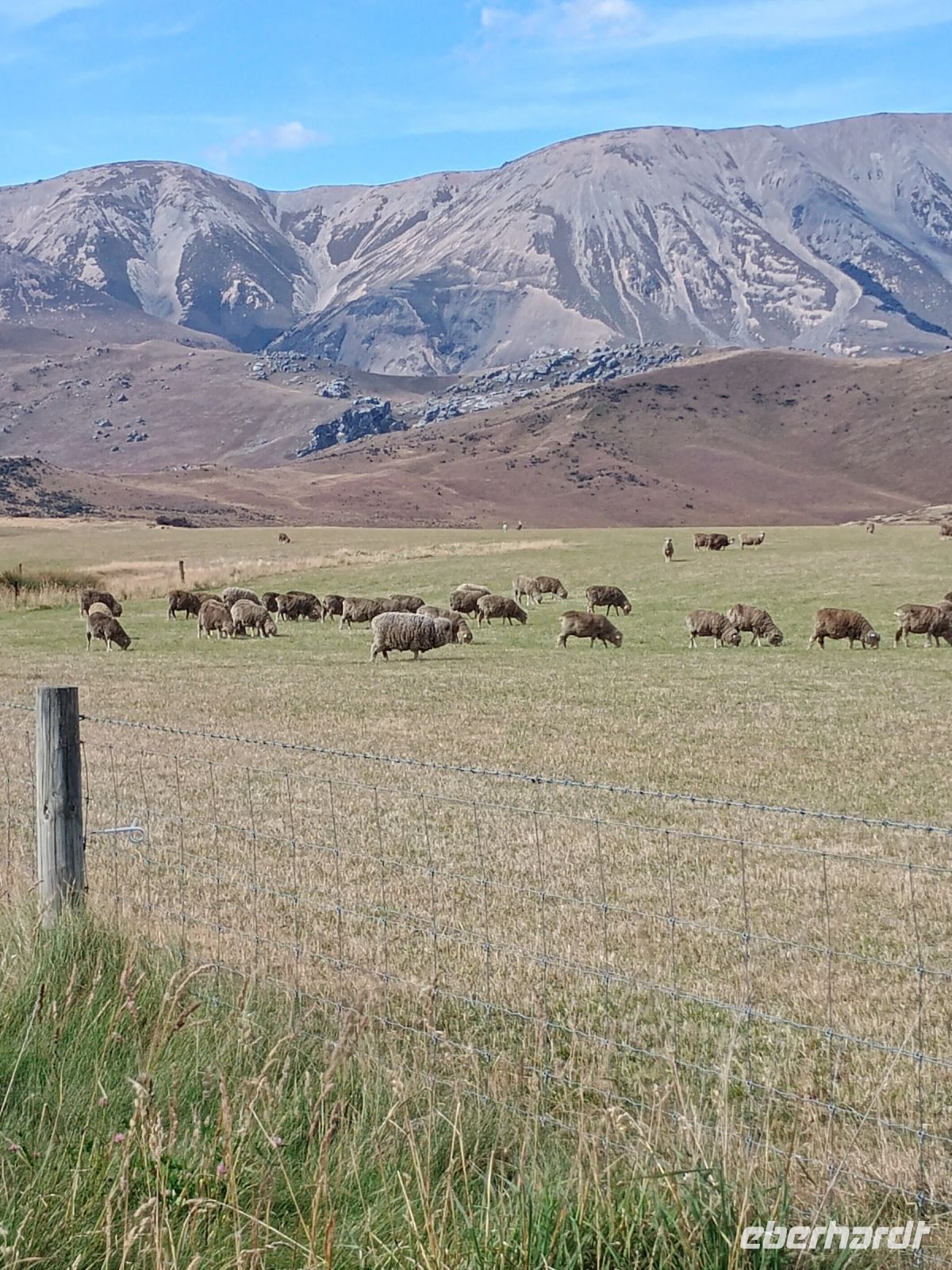 Haast Pass &ndash; &copy; Johanna König (Eberhardt TRAVEL)