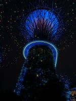 Supertrees 