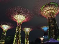 Supertrees  &ndash; &copy; Johanna König (Eberhardt TRAVEL)