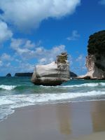 Coromandel Halbinsel &ndash; &copy; Johanna König (Eberhardt TRAVEL)