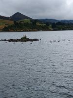 Otago Halbinsel &ndash; &copy; Johanna König (Eberhardt TRAVEL)