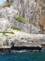Milford Sound &ndash; &copy; Johanna König (Eberhardt TRAVEL)