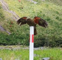 Milford Sound &ndash; &copy; Johanna König (Eberhardt TRAVEL)