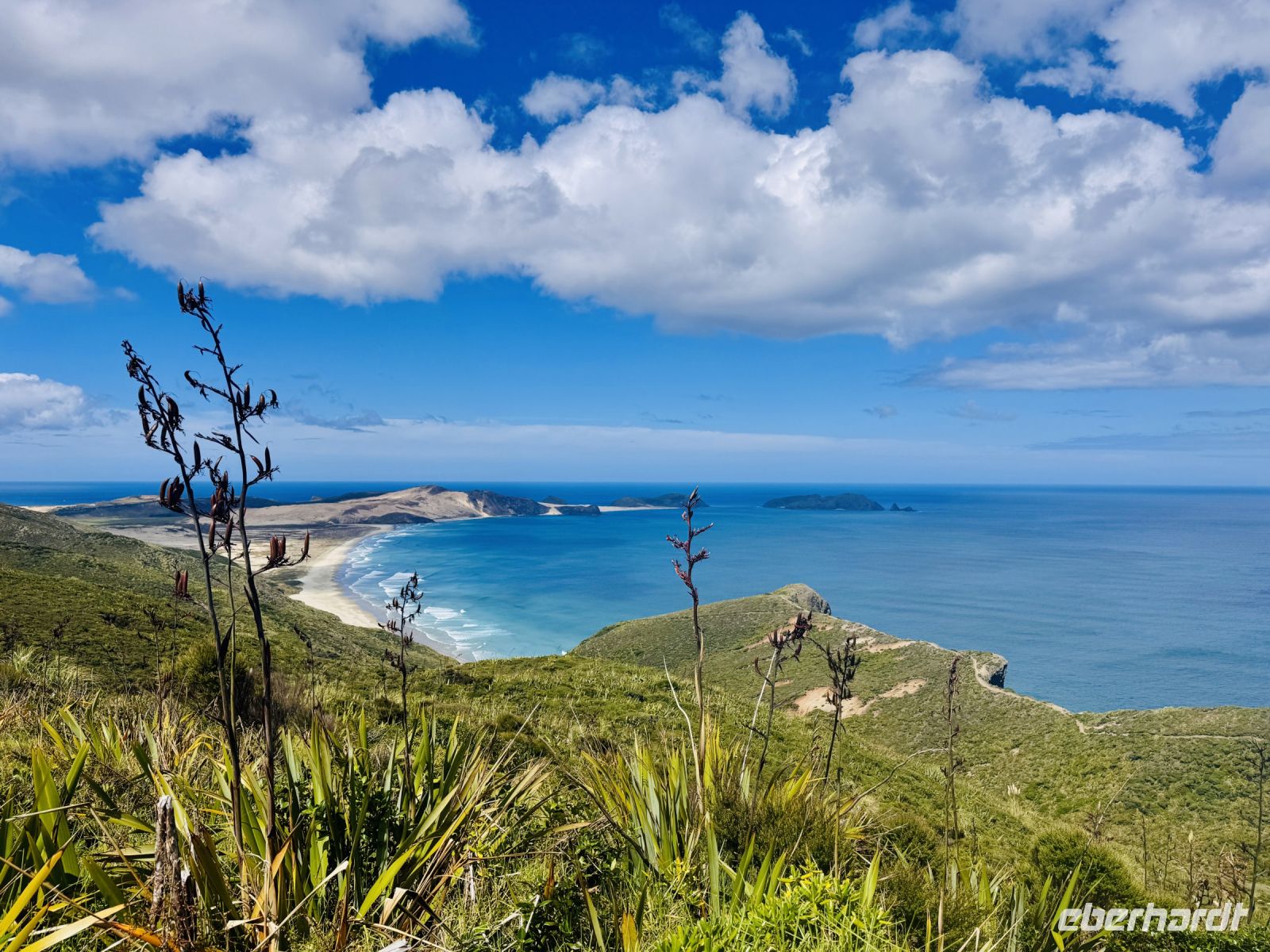 Tag 6 - Cape Reinga  &ndash; &copy; Christin Kuschka (Eberhardt TRAVEL)