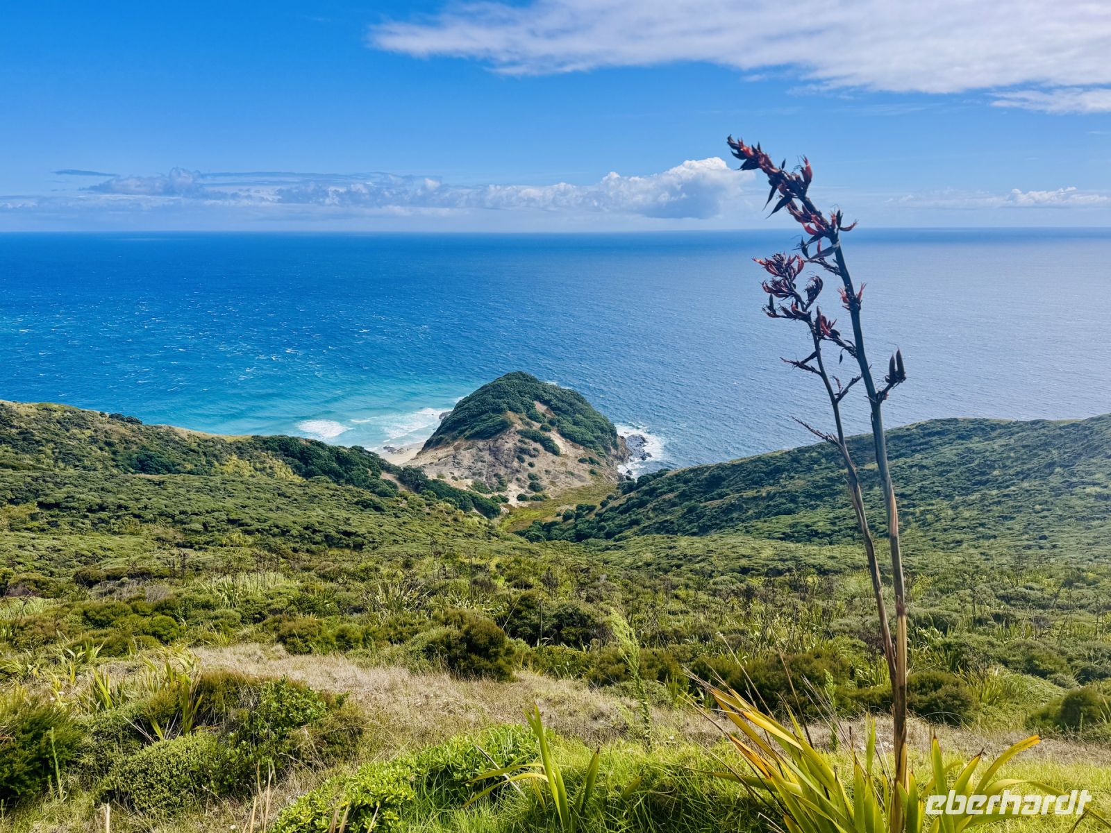 Tag 6 - Cape Reinga  &ndash; &copy; Christin Kuschka (Eberhardt TRAVEL)