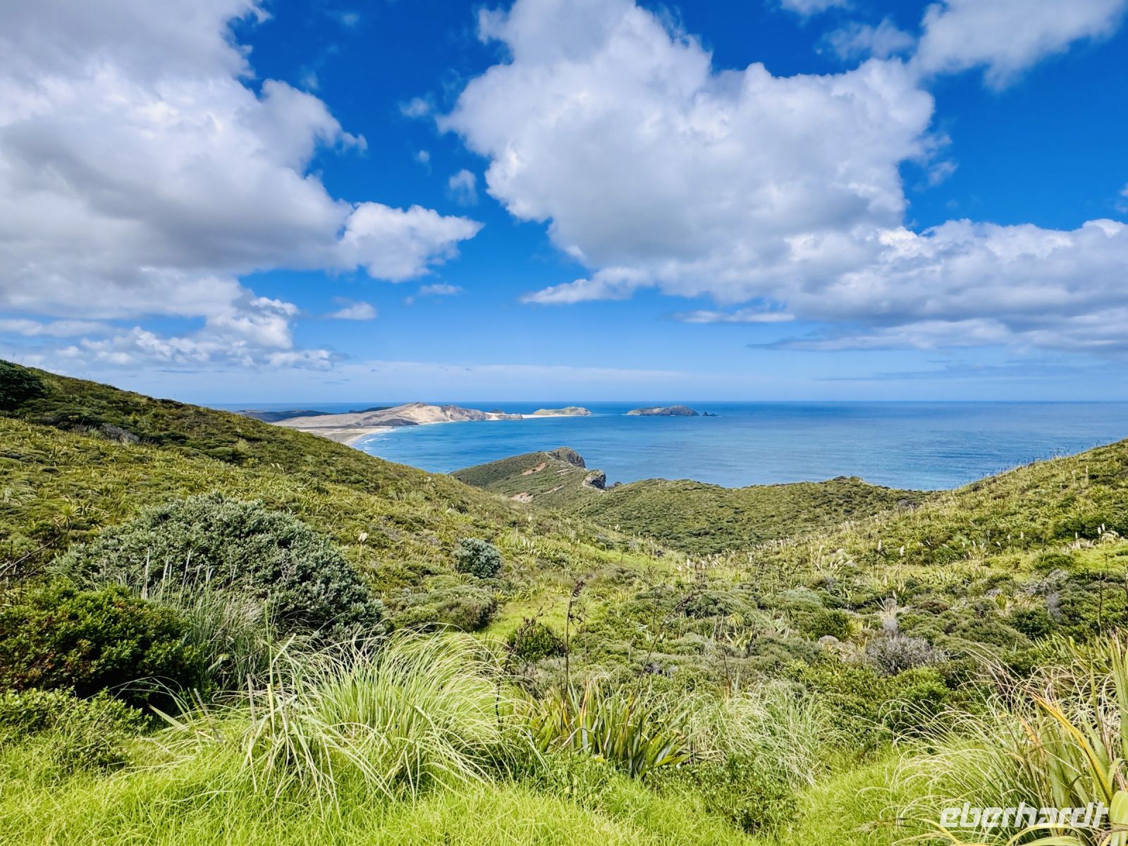 Tag 6 - Cape Reinga  &ndash; &copy; Christin Kuschka (Eberhardt TRAVEL)