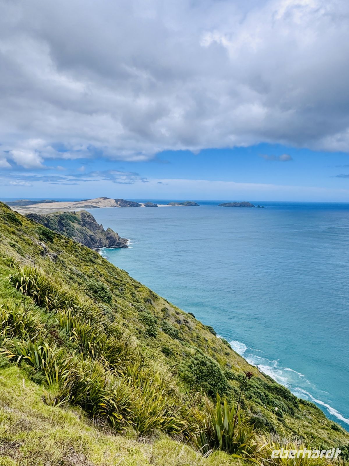 Tag 6 - Cape Reinga  &ndash; &copy; Christin Kuschka (Eberhardt TRAVEL)