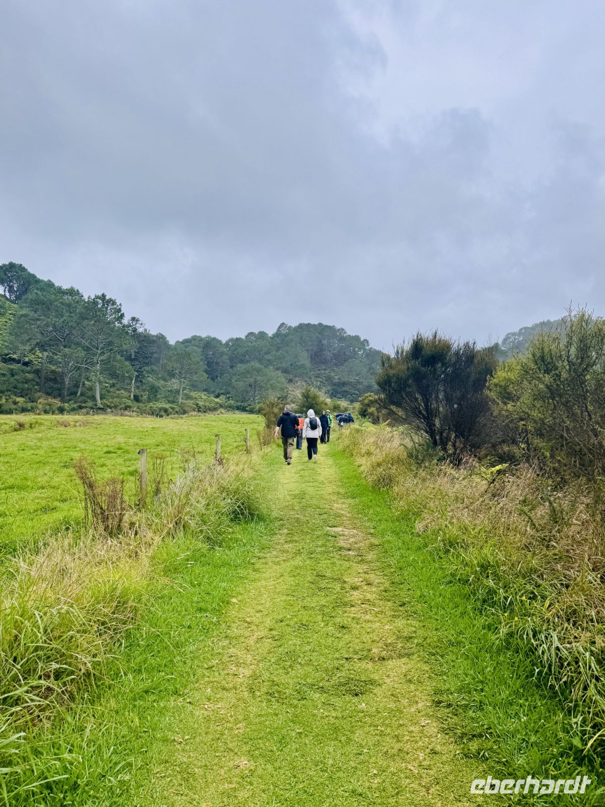 Tag 8 - Wanderung zur Cathedral Cove &ndash; &copy; Christin Kuschka (Eberhardt TRAVEL)