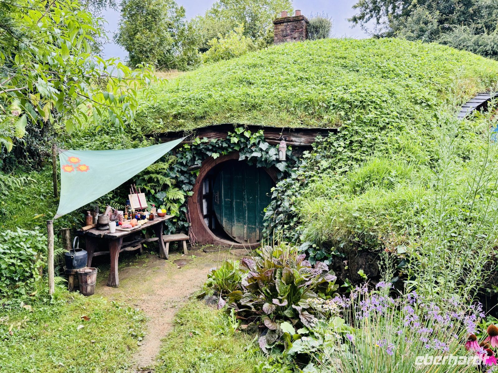 Tag 9 - Hobbiton &ndash; &copy; Christin Kuschka (Eberhardt TRAVEL)