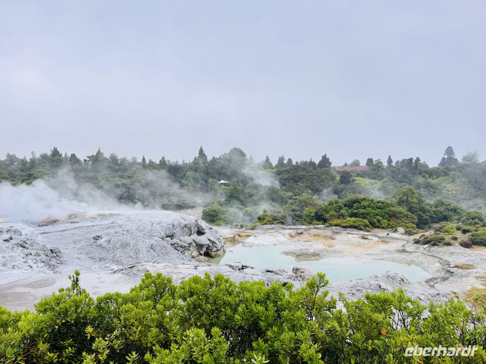 Tag 10 - Pohutu Geysir &ndash; &copy; Christin Kuschka (Eberhardt TRAVEL)