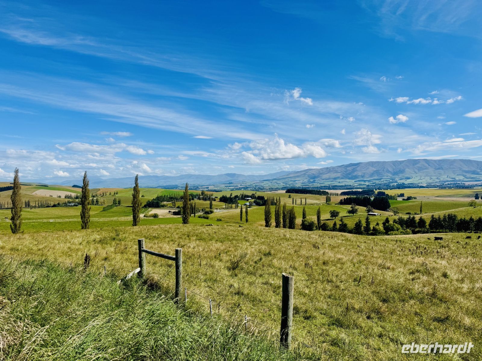 Tag 14 - Auf dem Weg nach Lake Tekapo &ndash; &copy; Christin Kuschka (Eberhardt TRAVEL)