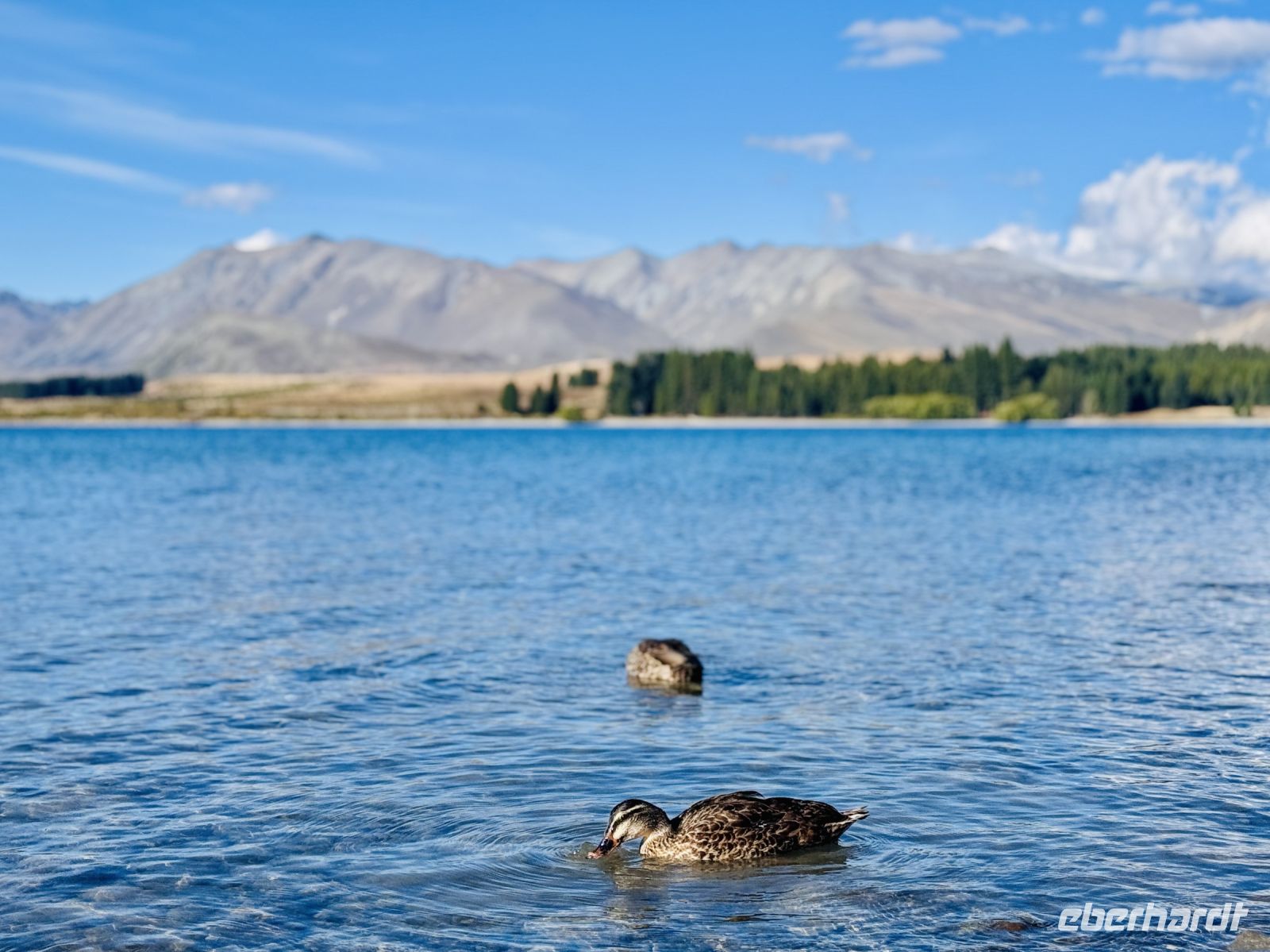 Tag 14 - Lake Tekapo &ndash; &copy; Christin Kuschka (Eberhardt TRAVEL)