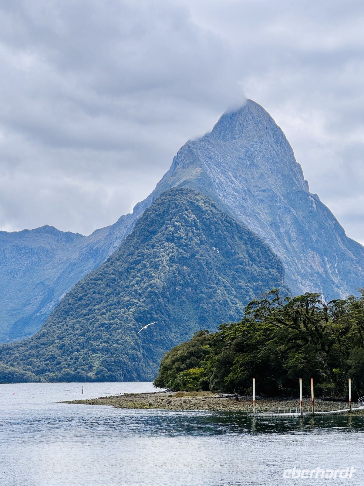 Tag 16 - Milford Sound &ndash; &copy; Christin Kuschka (Eberhardt TRAVEL)