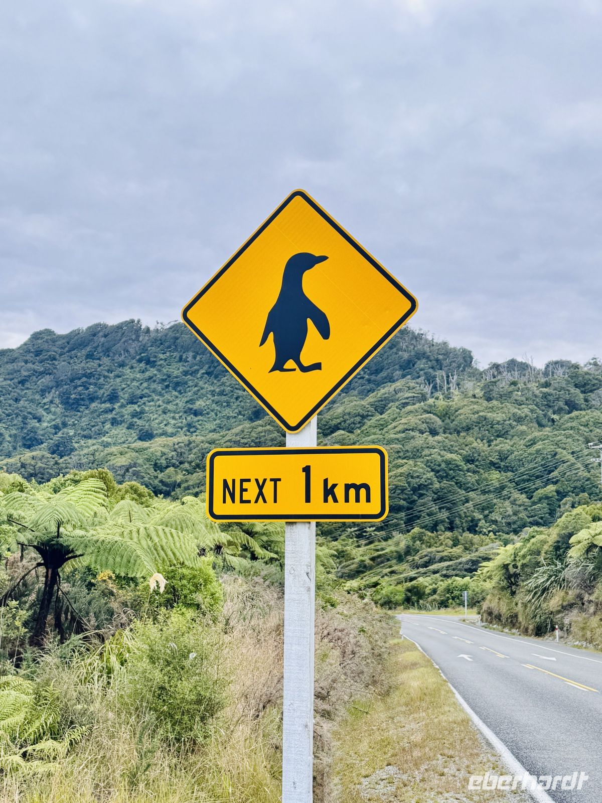 Tag 21 - Achtung Pinguin  &ndash; &copy; Christin Kuschka (Eberhardt TRAVEL)