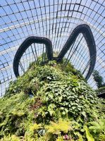 Tag 3 - Gardens by the Bay, Cloud Forest &ndash; &copy; Christin Kuschka (Eberhardt TRAVEL)