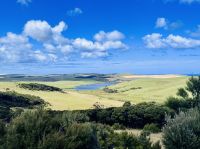 Tag 6 - Auf dem Weg zum Cape Reinga &ndash; &copy; Christin Kuschka (Eberhardt TRAVEL)