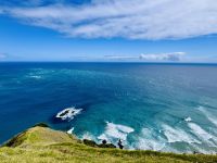 Tag 6 - Cape Reinga  &ndash; &copy; Christin Kuschka (Eberhardt TRAVEL)