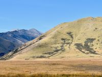 Tag 14 - Auf dem Weg nach Lake Tekapo &ndash; &copy; Christin Kuschka (Eberhardt TRAVEL)