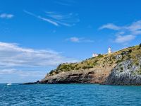 Tag 15 - Bootstour mit Monarch Wildlife Cruise &ndash; &copy; Christin Kuschka (Eberhardt TRAVEL)