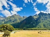 Tag 16 - Auf dem Weg zum Milford Sound &ndash; &copy; Christin Kuschka (Eberhardt TRAVEL)