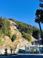 Tag 18 - Skyline Queenstown  &ndash; &copy; Christin Kuschka (Eberhardt TRAVEL)