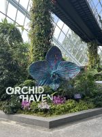 26.02.2025: Freizeit in Singapur Cloud Forest &ndash; &copy; Anne Fohlert (Eberhardt TRAVEL)