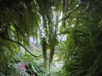 26.02.2025: Freizeit in Singapur Cloud Forest &ndash; &copy; Anne Fohlert (Eberhardt TRAVEL)