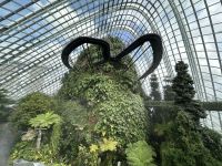 26.02.2025: Freizeit in Singapur Cloud Forest &ndash; &copy; Anne Fohlert (Eberhardt TRAVEL)