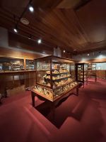 28.02.2025: Kauri Museum &ndash; &copy; Anne Fohlert (Eberhardt TRAVEL)
