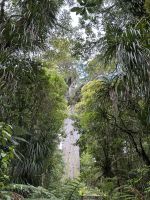 28.02.2025: Tane Mahota &ndash; &copy; Anne Fohlert (Eberhardt TRAVEL)
