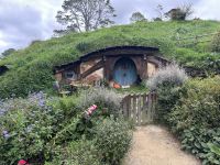 04.03.2025: Ausflug nach Hobbiton &ndash; &copy; Anne Fohlert (Eberhardt TRAVEL)