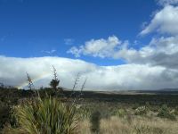 05.03.2025: Tongariro Nationalpark &ndash; &copy; Anne Fohlert (Eberhardt TRAVEL)