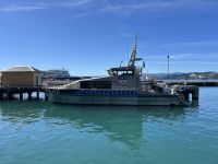 07.03.2025: Freizeit in Wellington Spaziergang am Hafen &ndash; &copy; Anne Fohlert (Eberhardt TRAVEL)