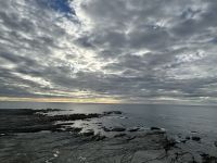 09.03.2025: Strandspaziergang in Kaikoura &ndash; &copy; Anne Fohlert (Eberhardt TRAVEL)