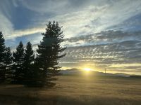 10.03.2025 Weiterreise nach Dunedin &ndash; &copy; Anne Fohlert (Eberhardt TRAVEL)